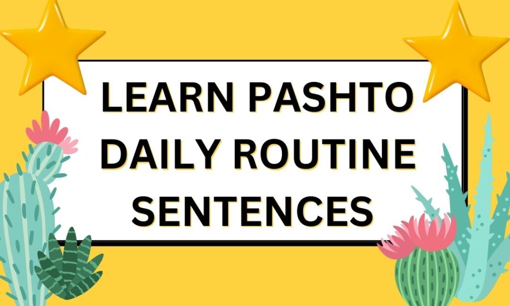 How to learn pashto easily daily routine sentences