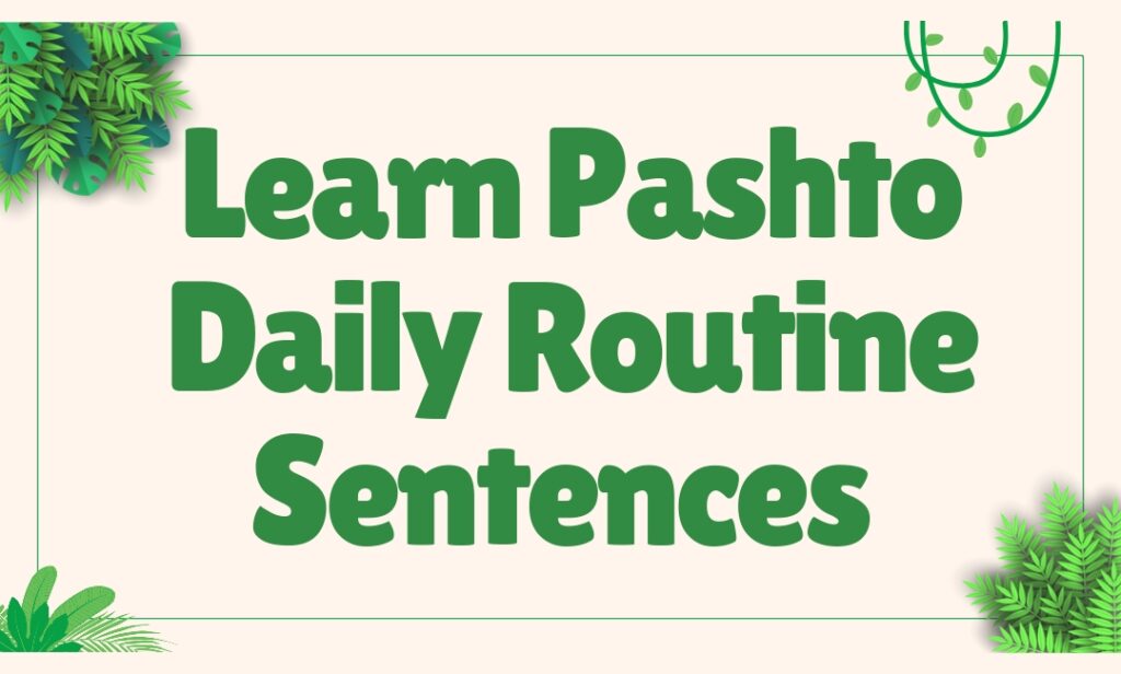 How to learn pashto easily daily routine sentences