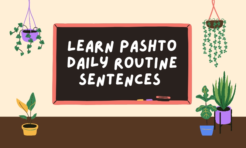 How to learn pashto daily routine sentences