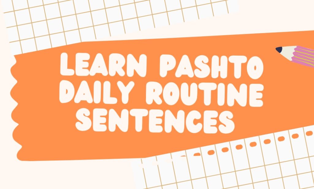 How to learn pashto easily daily routine sentences