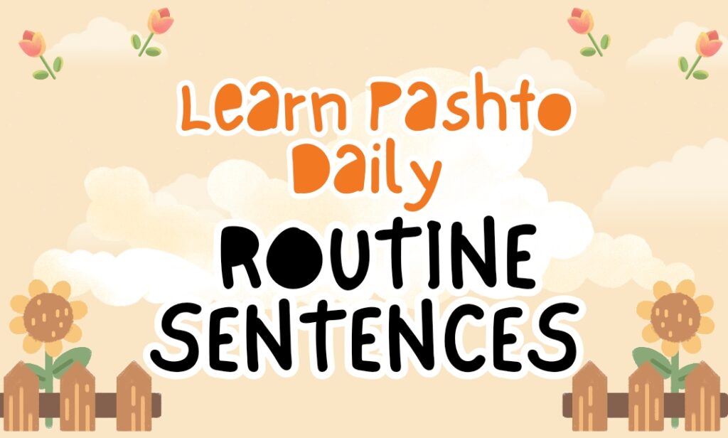 How to learn pashto easily daily routine sentences