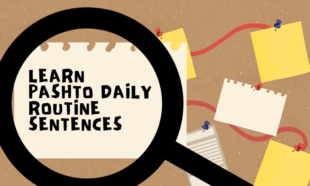 How to learn pashto easily daily routine sentences